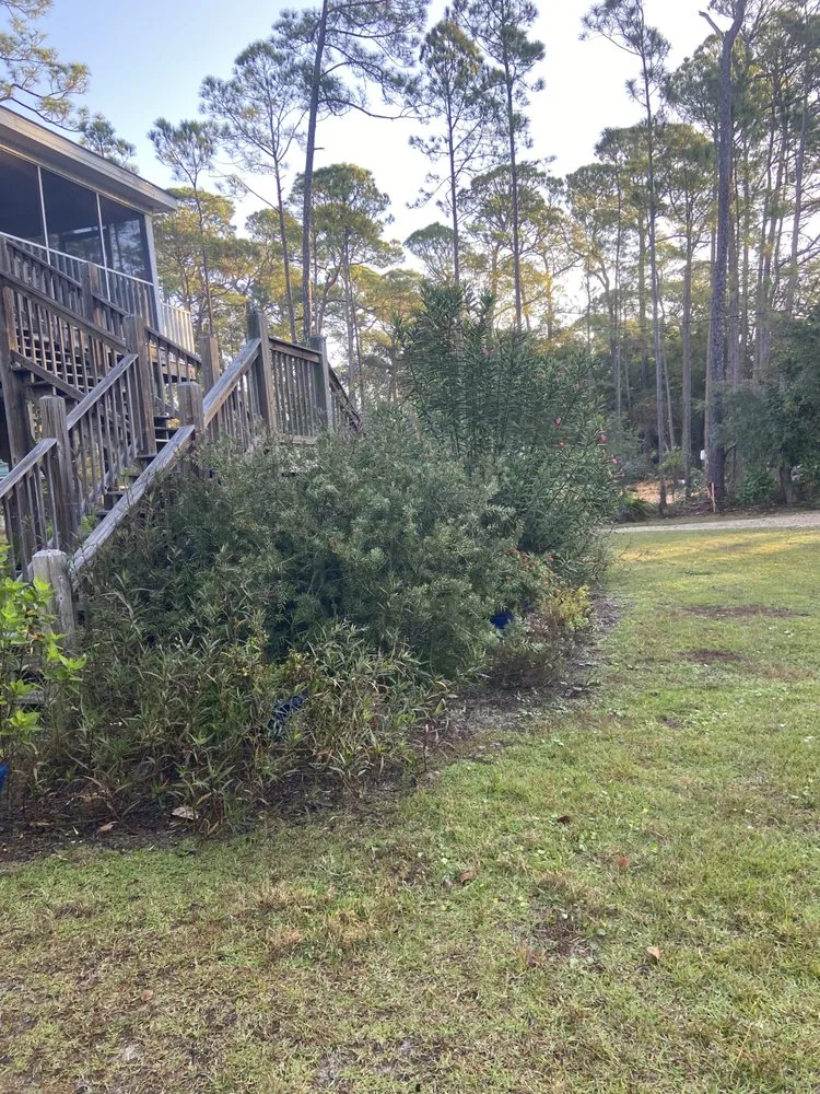 Professional lawn care service for year-round maintenance in Dauphin Island, AL by Blu Heron Landscape
