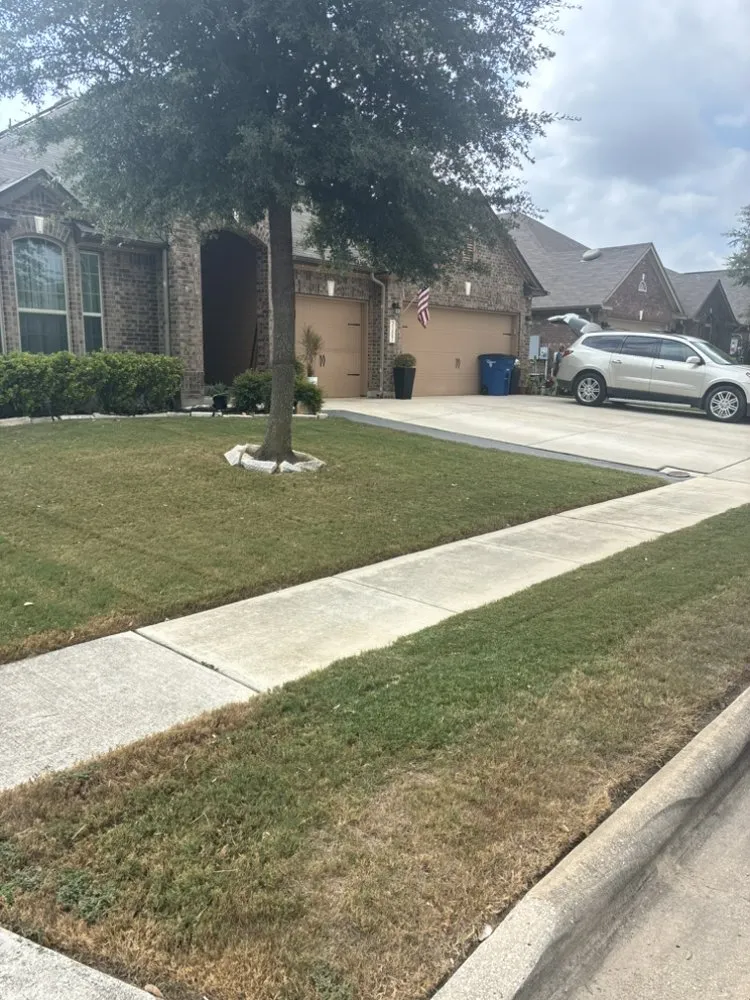 Reliable garden landscaping in New Braunfels, TX - Blu Industries