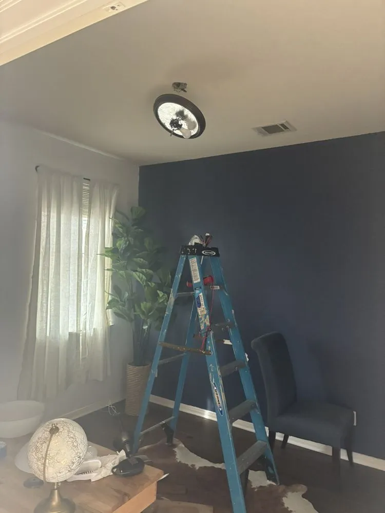 Trusted yard cleanup service in New Braunfels, TX - Blu Industries