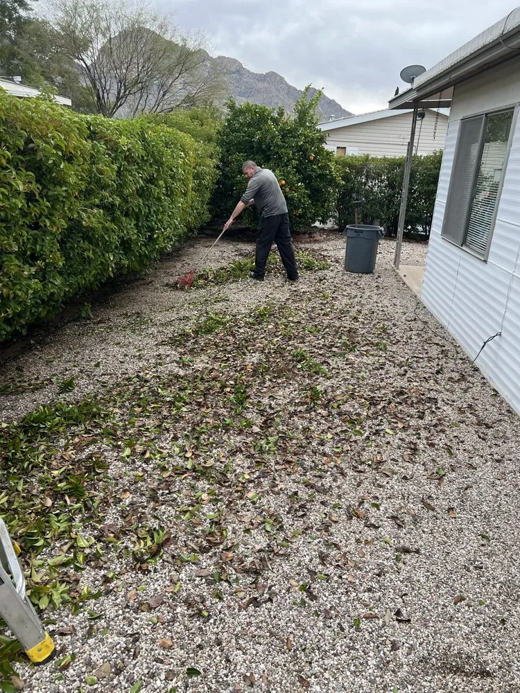 Expert lawn mowing service in Marana, AZ by Blu J Yard maintenance