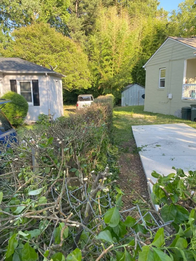 Expert lawn care service in Marietta, GA - Blu Jay Landscaping