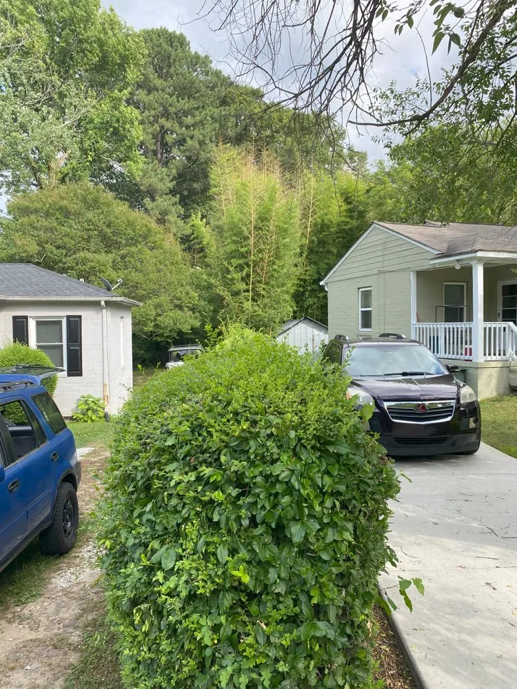 Affordable garden landscaping in Marietta, GA - Blu Jay Landscaping