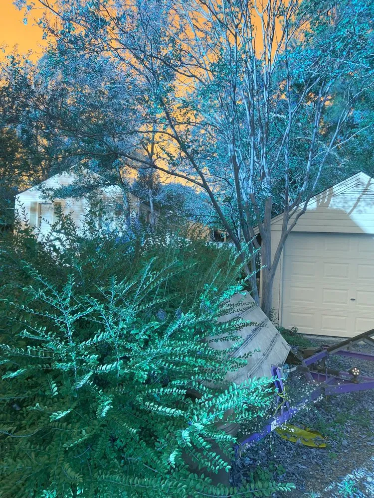 Professional landscaping services for beautiful yards in Marietta, GA by Blu Jay Landscaping