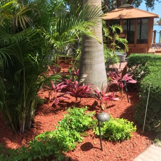Affordable outdoor landscaping in Treasure Island, FL - BLU Landscaping