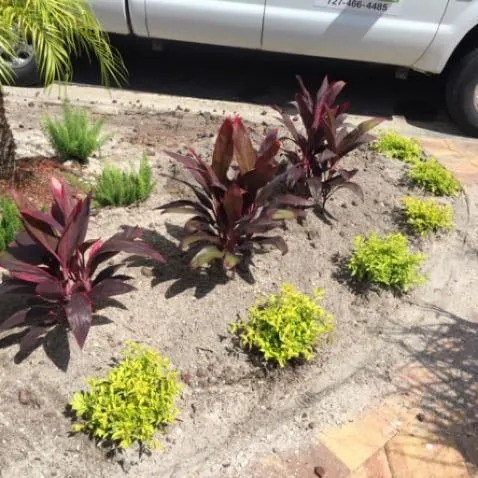 Local yard maintenance for homes across Treasure Island, FL - BLU Landscaping
