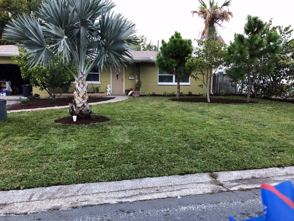 Trusted lawn care service experts serving Treasure Island, FL - BLU Landscaping