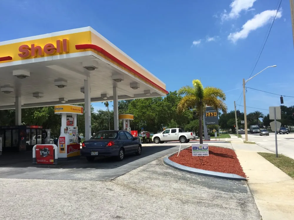 Trusted yard cleanup service experts serving Treasure Island, FL - BLU Landscaping