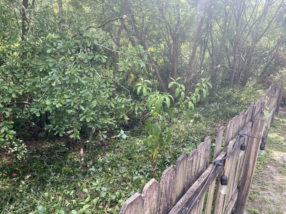 Reliable garden landscaping in Zephyrhills, FL by Blu-Moon Property Remediation