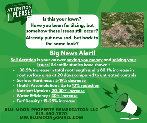 Expert residential landscaping near you across Zephyrhills, FL - Blu-Moon Property Remediation