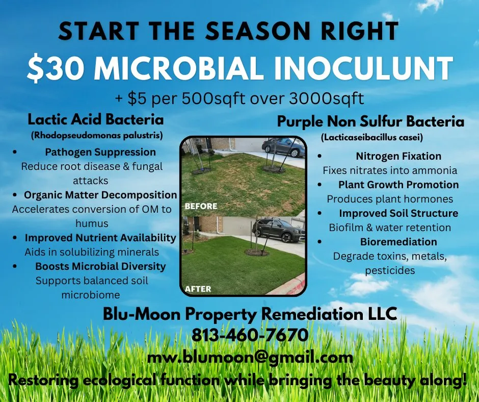 Custom landscape installation for homes in Zephyrhills, FL by Blu-Moon Property Remediation