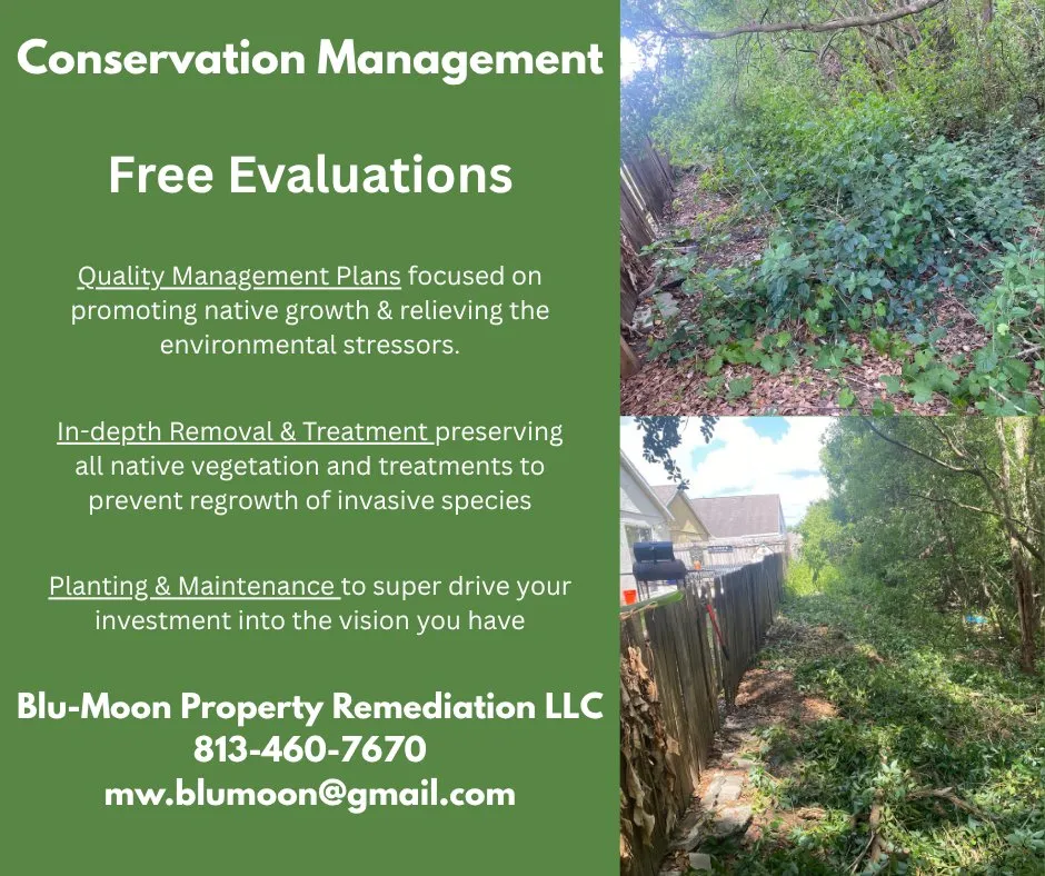 Top-rated landscape design for year-round maintenance in Zephyrhills, FL by Blu-Moon Property Remediation