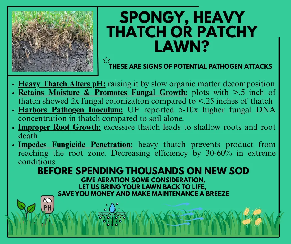 Custom lawn mowing service for outdoor upgrades across Zephyrhills, FL - Blu-Moon Property Remediation