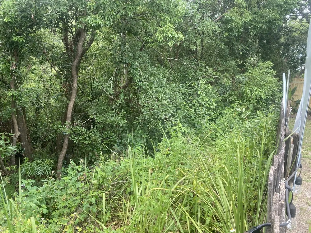 Affordable garden landscaping in Zephyrhills, FL - Blu-Moon Property Remediation