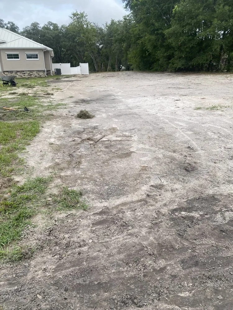 Trusted garden landscaping experts serving Zephyrhills, FL - Blu-Moon Property Remediation