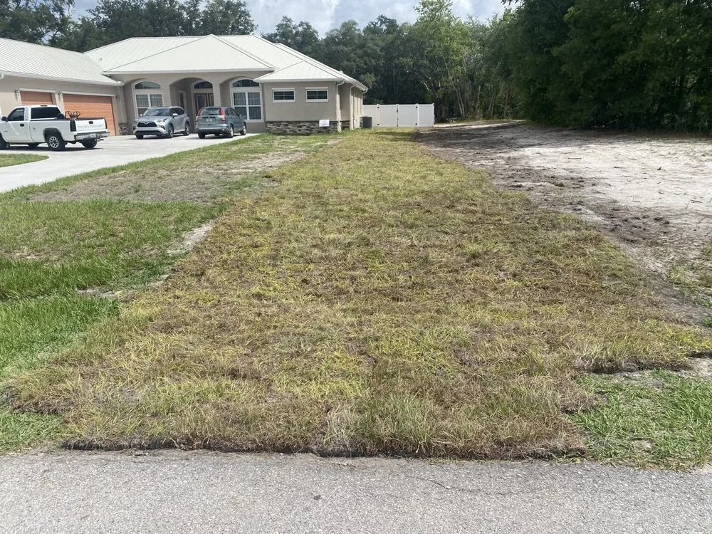 Trusted landscaping services experts serving Zephyrhills, FL - Blu-Moon Property Remediation