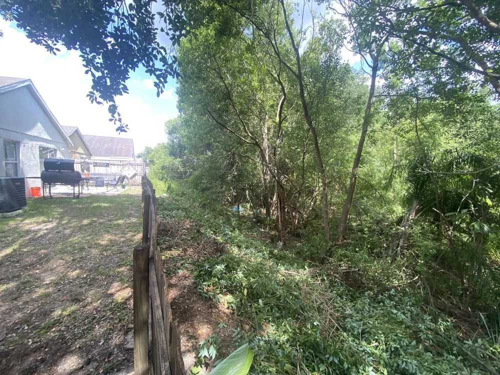 Custom landscape installation in Zephyrhills, FL by Blu-Moon Property Remediation