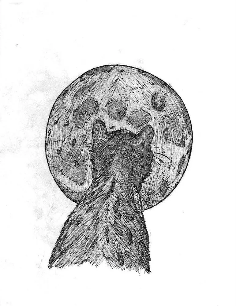 Reliable lawn mowing service for outdoor upgrades in Zephyrhills, FL by Blu-Moon Property Remediation