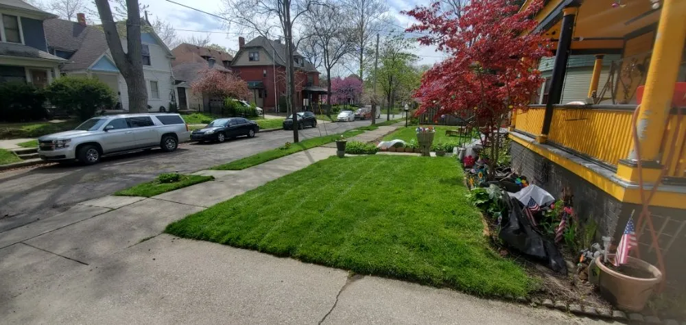 Reliable residential landscaping for outdoor upgrades in Toledo, OH by Blu-Sky Property Services