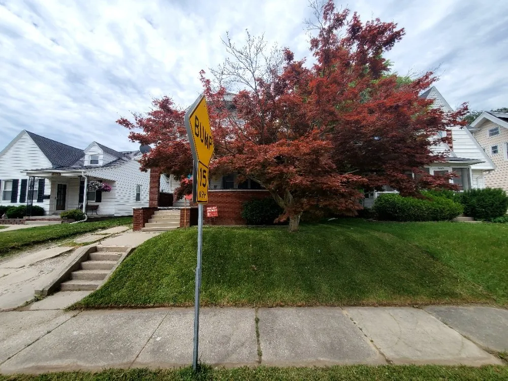 Expert landscaping services in Toledo, OH by Blu-Sky Property Services