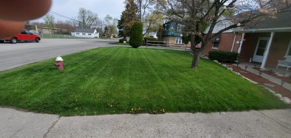 Trusted lawn care service in Toledo, OH by Blu-Sky Property Services