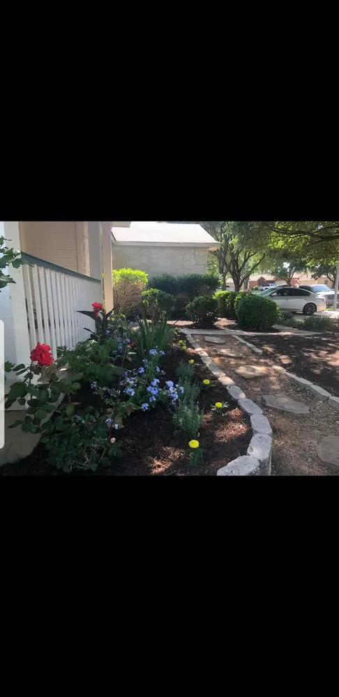 Custom landscaping services in Austin, TX - Blu Sol - Organic Landscape Gardening