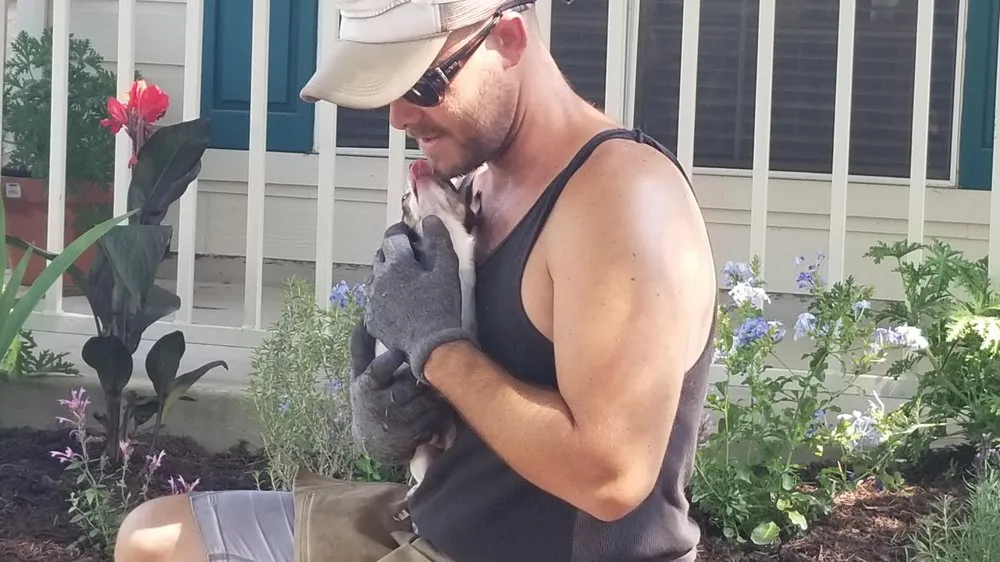 Local yard cleanup service for year-round maintenance across Austin, TX - Blu Sol - Organic Landscape Gardening