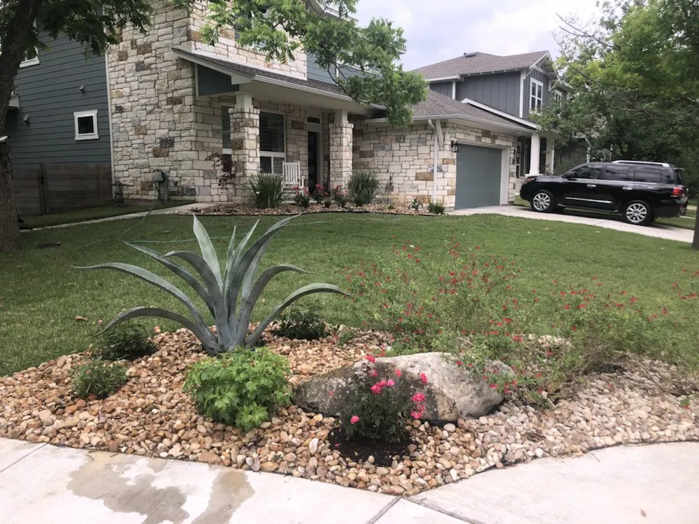 Top-rated yard maintenance in Austin, TX by Blu Sol - Organic Landscape Gardening