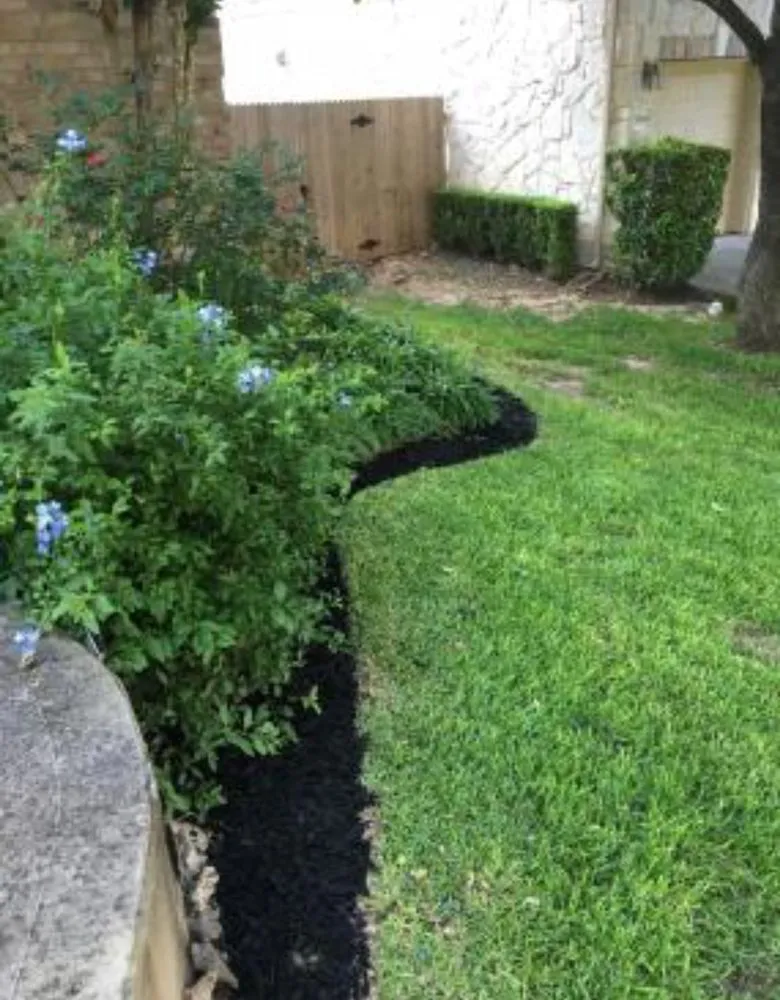 Expert lawn care service in Austin, TX by Blu Sol - Organic Landscape Gardening
