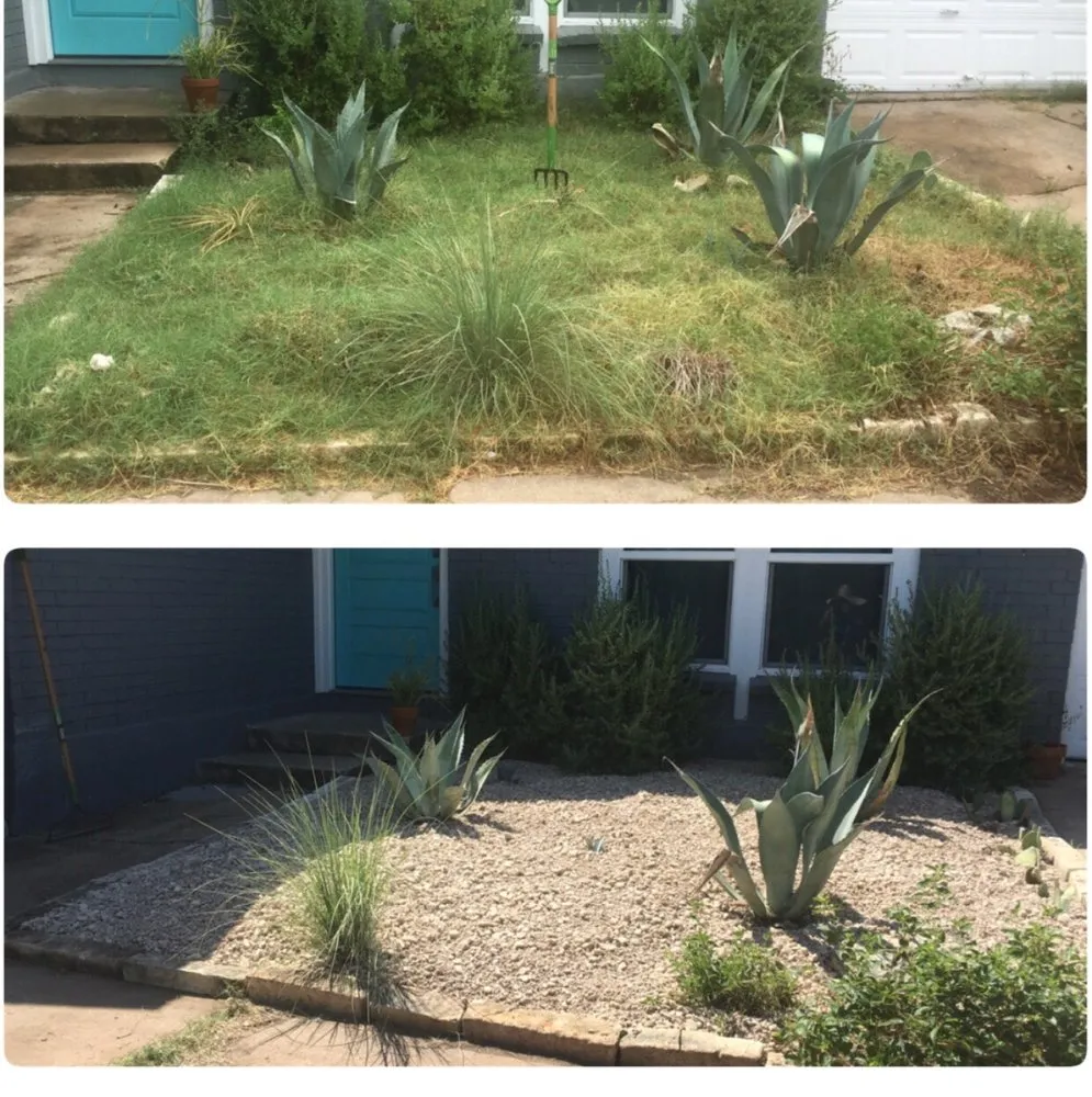 Reliable lawn care service experts serving Austin, TX - Blu Sol - Organic Landscape Gardening