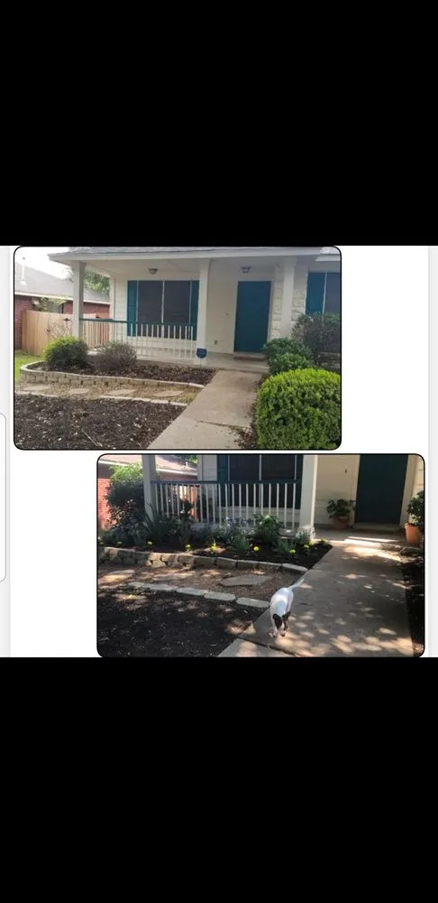 Top-rated yard maintenance experts serving Austin, TX - Blu Sol - Organic Landscape Gardening