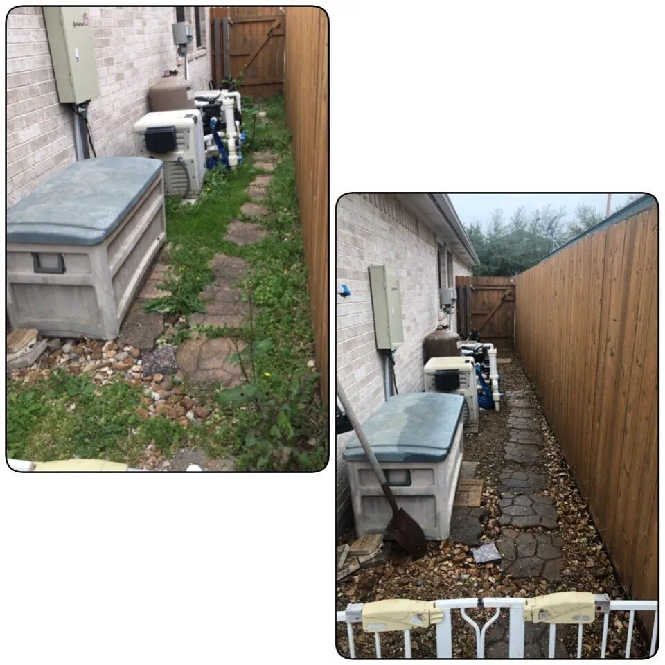 Professional landscape design in Austin, TX by Blu Sol - Organic Landscape Gardening