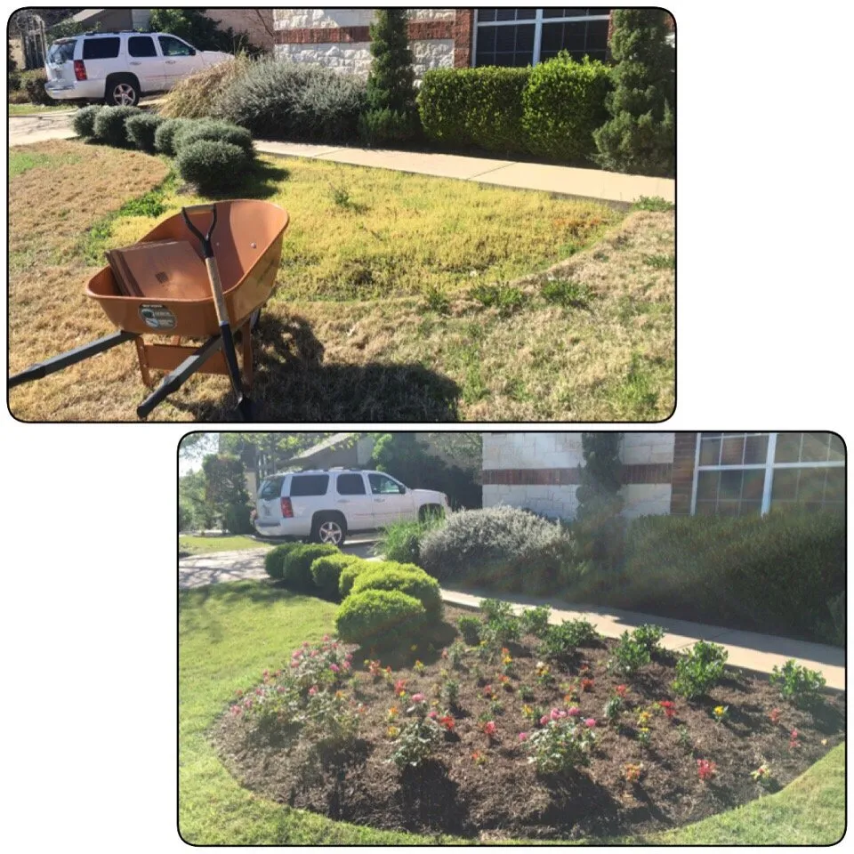 Local yard cleanup service for beautiful yards across Austin, TX - Blu Sol - Organic Landscape Gardening