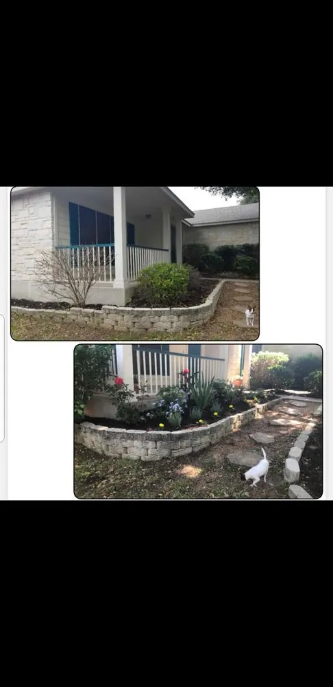 Expert garden landscaping experts serving Austin, TX - Blu Sol - Organic Landscape Gardening