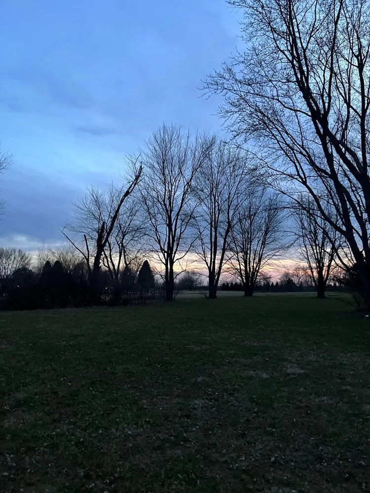 Expert outdoor landscaping in Toluca, IL - Blu Turf Operations