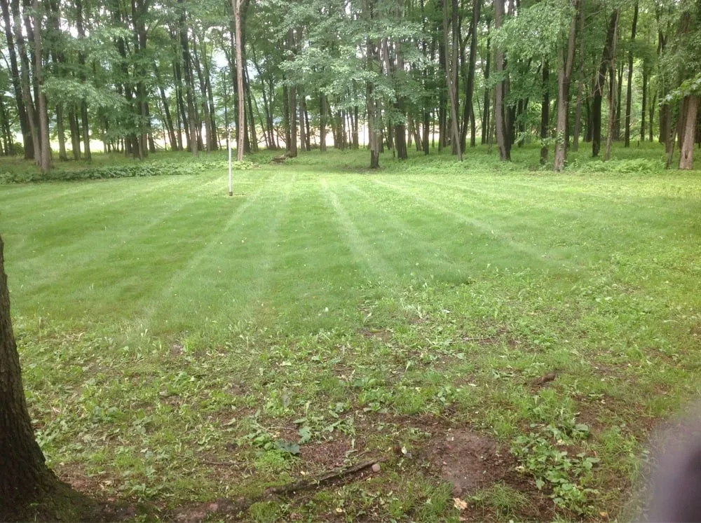 Trusted landscaping services in Montgomery, PA by Blue & Gold Lawn Care