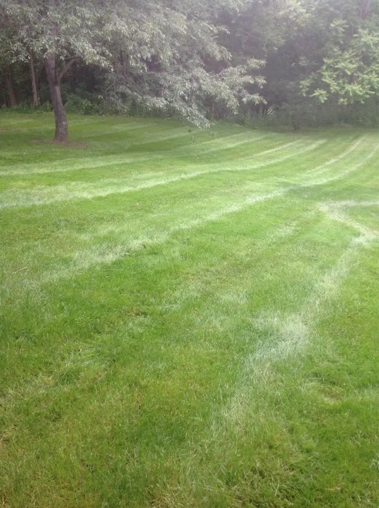 Local yard cleanup service experts serving Montgomery, PA - Blue & Gold Lawn Care