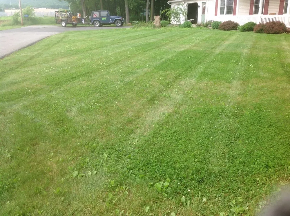 Local yard cleanup service in Montgomery, PA by Blue & Gold Lawn Care