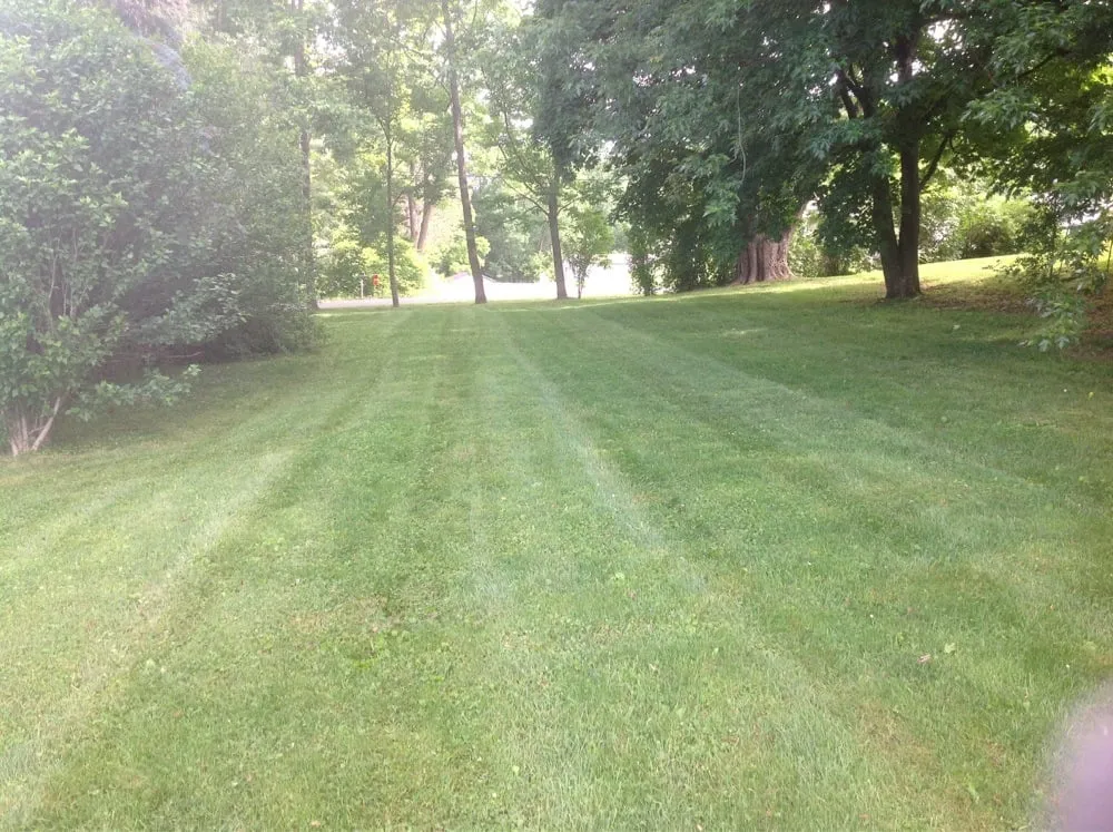 Affordable lawn care service near you in Montgomery, PA by Blue & Gold Lawn Care