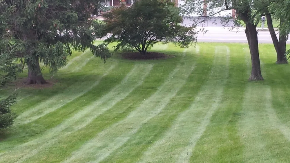 Local landscape installation experts serving Montgomery, PA - Blue & Gold Lawn Care