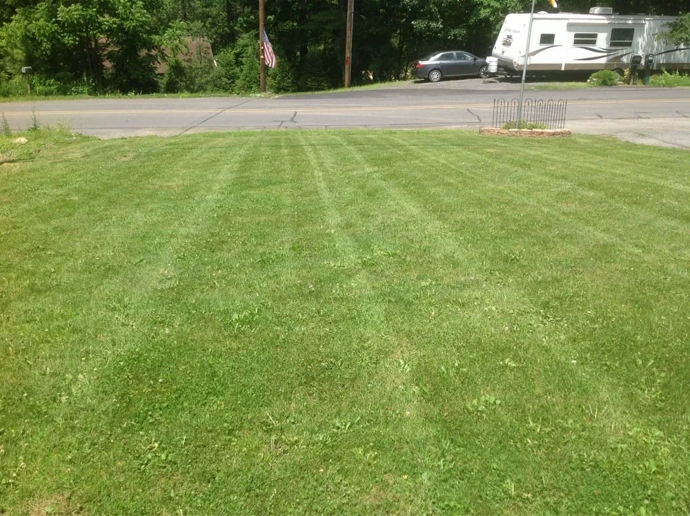 Affordable landscape installation in Montgomery, PA by Blue & Gold Lawn Care