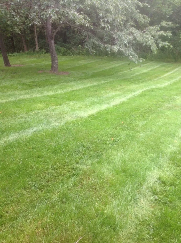 Custom landscaping services in Montgomery, PA by Blue & Gold Lawn Care