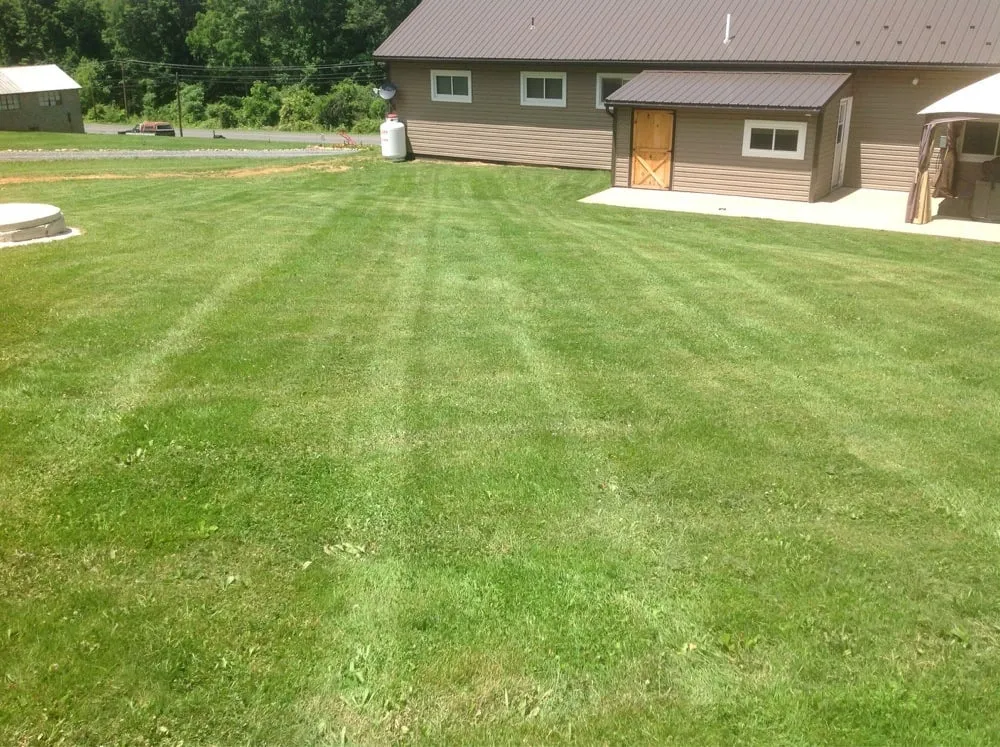 Reliable lawn mowing service experts serving Montgomery, PA - Blue & Gold Lawn Care