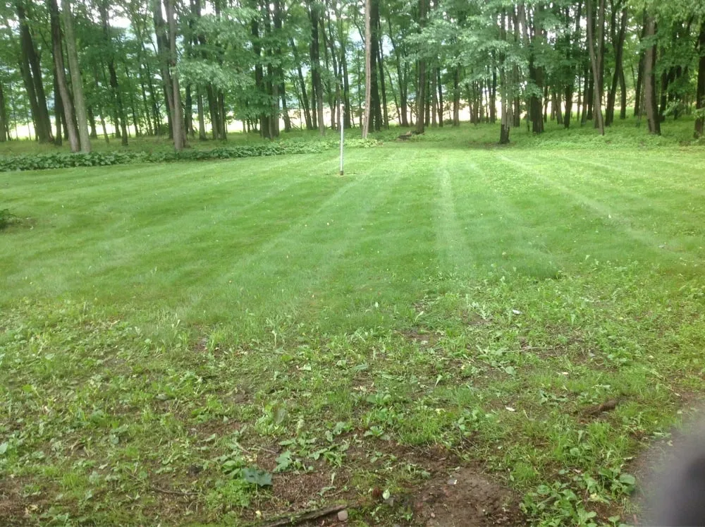 Affordable landscaping services with custom design in Montgomery, PA by Blue & Gold Lawn Care