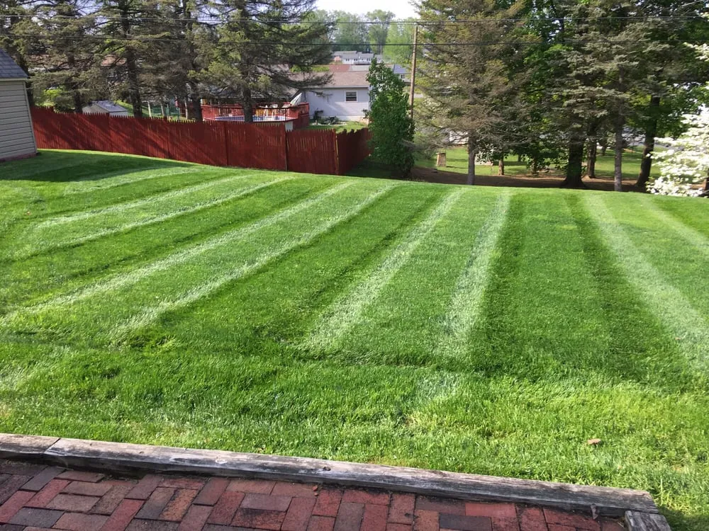 Top-rated landscape design for residential properties across Montgomery, PA - Blue & Gold Lawn Care