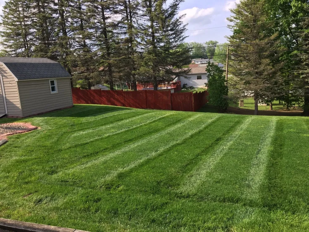 Custom landscape installation experts serving Montgomery, PA - Blue & Gold Lawn Care