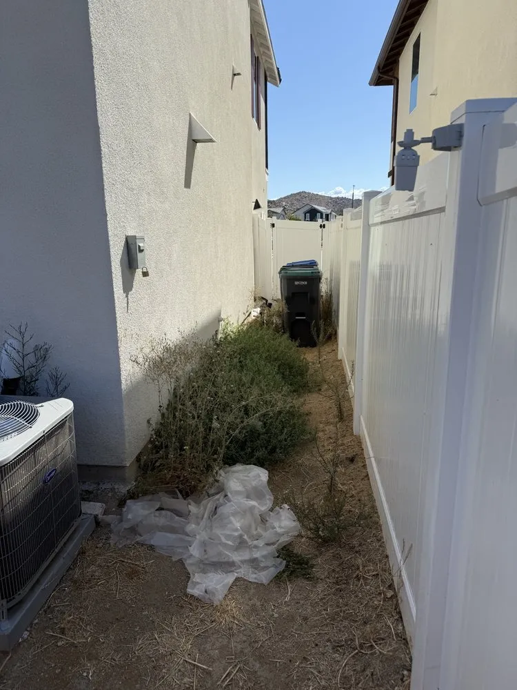 Local landscape design in Menifee, CA by Blue Agave Concrete & Landscape Construction