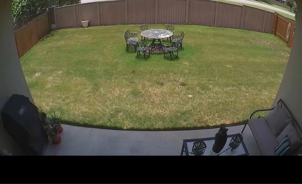 Top-rated yard cleanup service for year-round maintenance across Hutto, TX - Blue Agave Landscapes