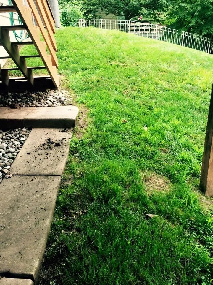 Custom garden landscaping near you across Norristown, PA - Blue and White Landscapes