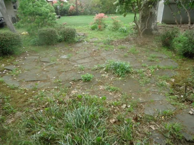 Top-rated lawn mowing service near you in Norristown, PA by Blue and White Landscapes