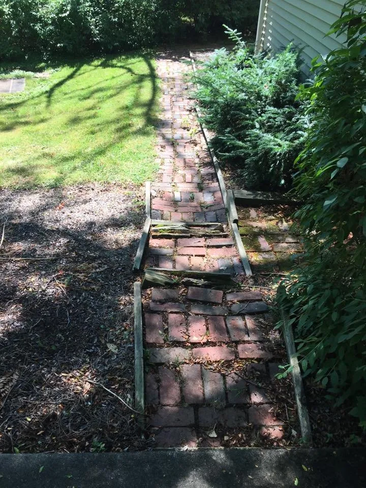 Top-rated yard cleanup service for residential properties across Norristown, PA - Blue and White Landscapes